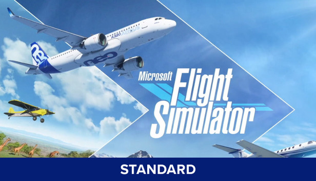 Microsoft Store Flight Simulator