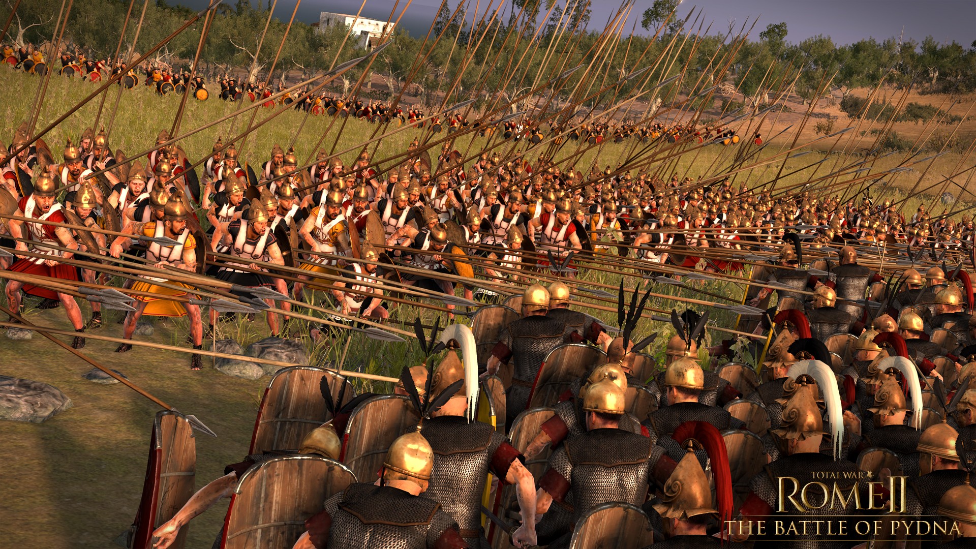 Стена щитов rome total war